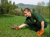 p. Bacht�kov� vypou�t� je�ky zp�t do p��rody