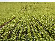 Kliknut�m zobraz�te nov� okno s fotografi�