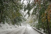 Silnice pod�l �eky Jizery